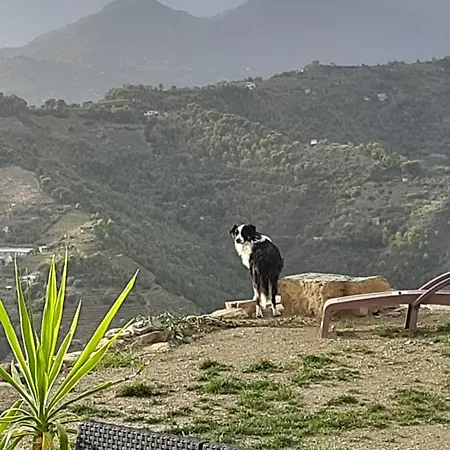 Villa Dei Sogni, With Private Pool ,roof Terrace And Spectacular Views Of Monaco And Ligurian Mountains *