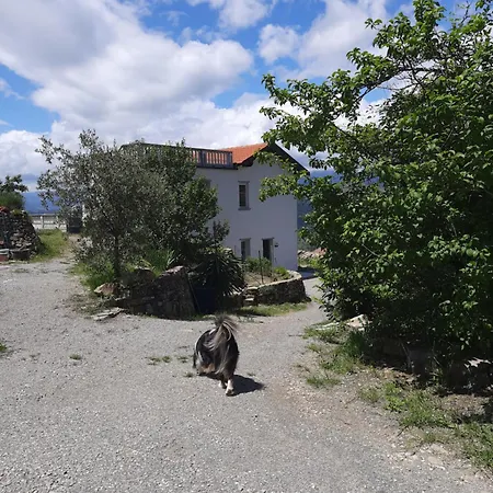 Dei Sogni, With Private Pool ,roof Terrace And Spectacular Views Of Monaco And Ligurian Mountains Villa Vallebona