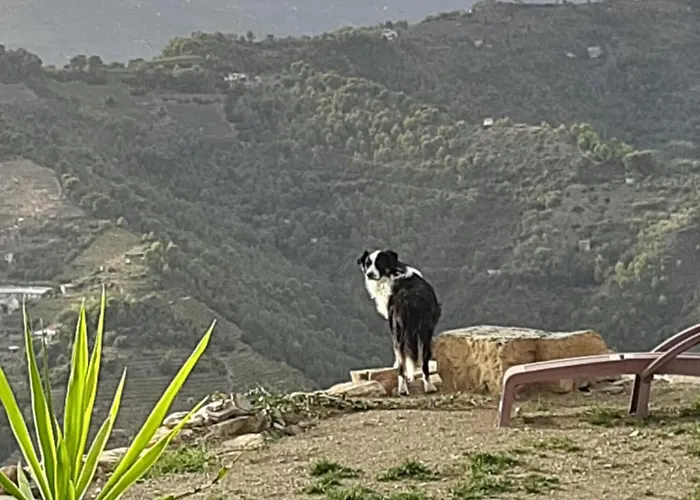 Villa Dei Sogni, With Private Pool ,roof Terrace&spectacular Views Of Monaco&ligurian Mountains *